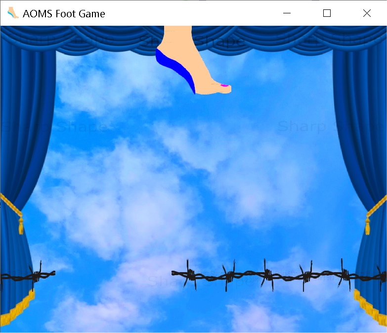 AOMS Foot Game Sample Screen